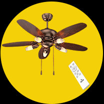 Remote Control Fan