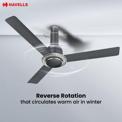 Havells Cera BLDC ceiling fan infographic demonstrating the reverse rotation feature that circulates warm air in winter.