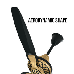 Pakhtun Pasha 52-inch BLDC Inverter Ceiling Fan (Black/Golden) | PK-105