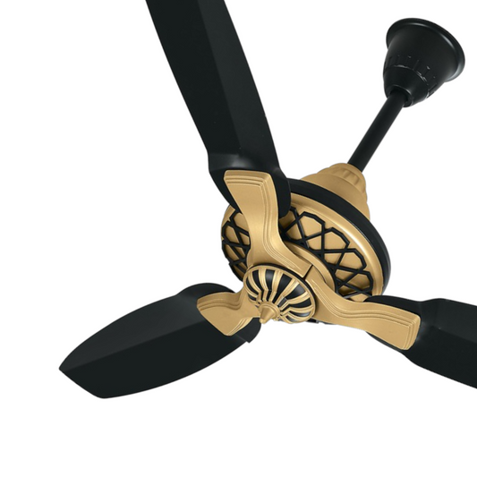 Pakhtun Pasha 52-inch BLDC Inverter Ceiling Fan (Black/Golden) | PK-105