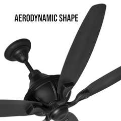Pakhtun Penta 5- 56 inch BLDC Inverter Remote Control Ceiling Fan ( Black) | PK-113