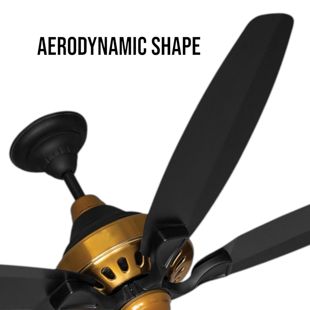 Pakhtun Penta-10 56 inch black gold ceiling fan close-up banner highlighting its premium aerodynamic shape blades and metallic motor hub.