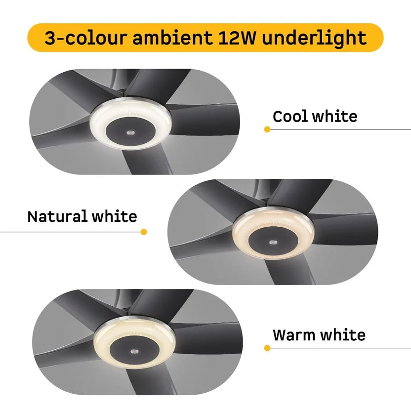Atomberg Emperion Magna Smart 50-inch BLDC ceiling fan in Lava Grey with 12W 3-color underlight: cool, natural and warm white.