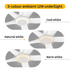 Atomberg Emperion Magna Smart 50-inch BLDC ceiling fan in Pearl White with 12W 3-color underlight: cool, natural and warm white.
