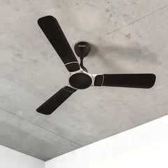 Atomberg Erica Nuvo 1200mm smart BLDC ceiling fan in blaze brown finish, featuring an aerodynamic 3-blade design and energy-efficient motor.