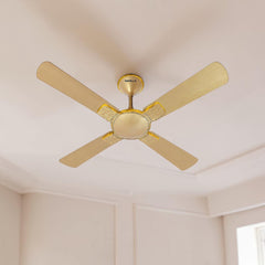 Havells Enticer Hues 48'' 4 Blade Celling Fan (Gold) H-320