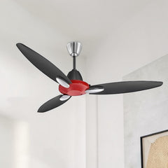 Usha Bloom Daffodil 50'' (Red & Black) U-187