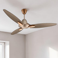 Usha Bloom Daffodil 50'' (Golden & Brown) U-188