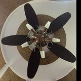 raw image of fan