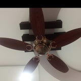 Polycab Superia SP04 48" Ceiling Fan (Antique Copper Rosewood) PC-102