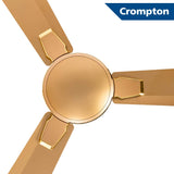 Crompton Aura 2 Prime 48" (Birken Gold ) C-210