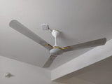 Havells Enticer 56” (Pearl White Gold) H -213