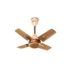Orient Quasar Ornamental Chocolate (Gold, Brown) O-125 - Ceiling Fan - Best Ceiling Fan Price in Bangladesh  | Alphaeshop.store