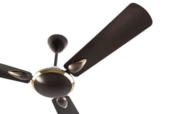 Usha Striker Platinum 56" (Deep Metallic Brown) U-191 - Ceiling Fan - Best Ceiling Fan Price in Bangladesh  | Alphaeshop.store